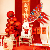 饰风筝新中式 马年新年宠物摄影婚房装 饰挂布布置庆典氛围感装 环创