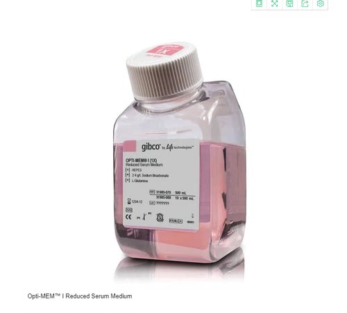 Gibco 31985070 Opti-MEM 赛默飞Thermo 31985062