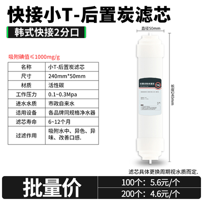 净水器滤芯后置t33矿化弱碱椰壳