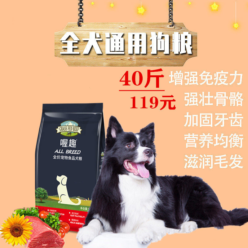 接触传播黄瓜面膜吃果成犬40斤10斤美毛边牧大型犬边境牧羊犬20斤
