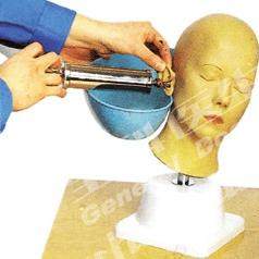 高级耳冲洗训练模型全科医生GD/LV40/人体耳道模型/模拟人/教学培