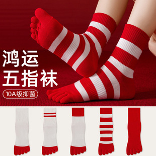 本命年红袜子女秋冬保暖五指袜马年新年礼物情侣结婚无骨分趾袜子