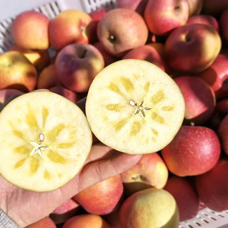 云南冰糖心儿童产地直发丑苹果