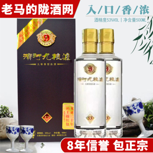 高度酒粮食酒送礼酒 甘肃特产白酒滨河九粮液53度500ml 2瓶礼盒装