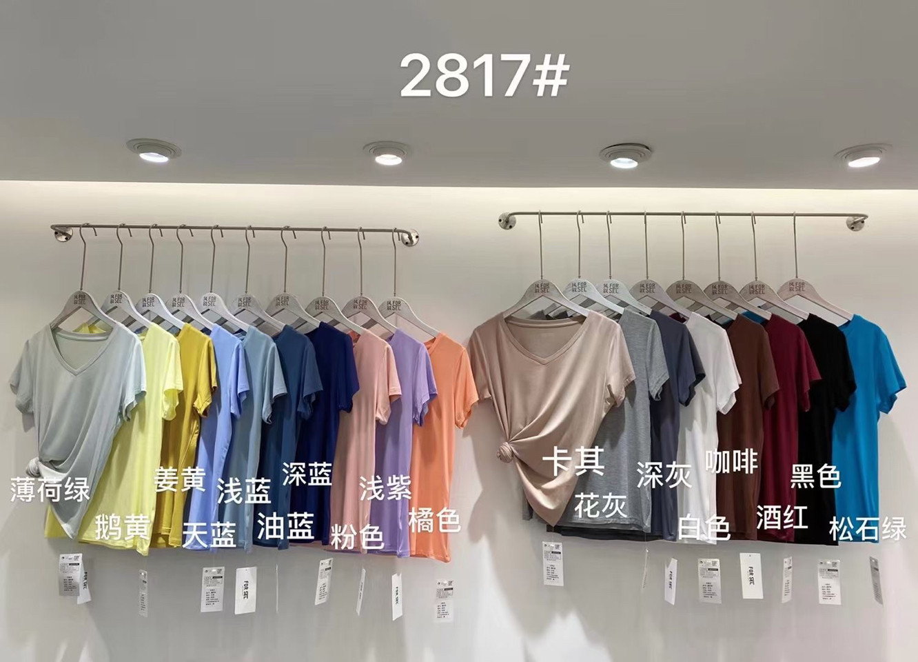 风叙莫代尔t恤女夏短袖打底衫黑色新款面膜t恤薄V领内搭外穿上衣