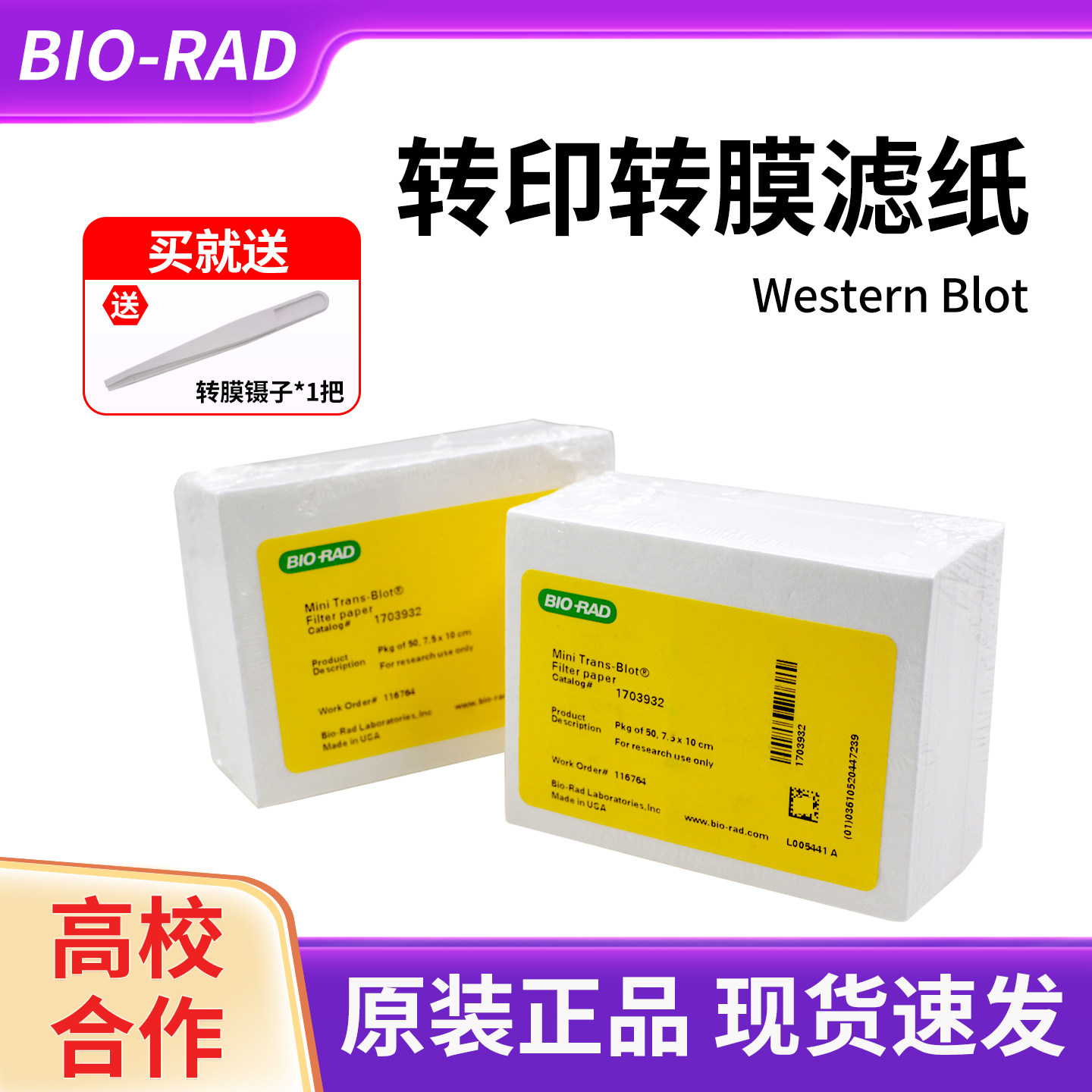 伯乐WB转膜湿转印厚滤纸