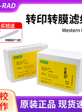 伯乐Western blot转膜转印湿转wb厚滤纸1703965/1703932天能六一