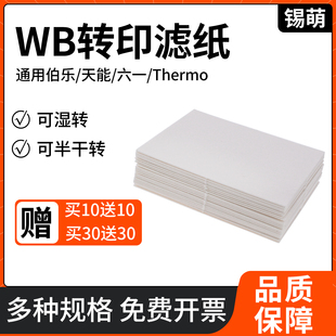锡萌Western转印转膜滤纸 湿转半干转滤纸通用伯乐天能Thermo六一