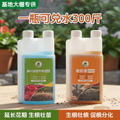 护花神生根壮根液肥料促根分化延长花期生根壮苗家用黄叶绿营养液