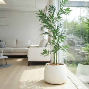 家居简约ins深盆40cm宽大口径镁泥盆室内装饰大绿植花盆 天堂鸟