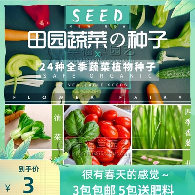 蔬菜庭院易成活萝卜食用韭菜种子