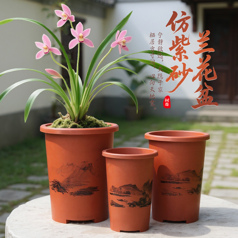 生长魔励兰花专用盆大号