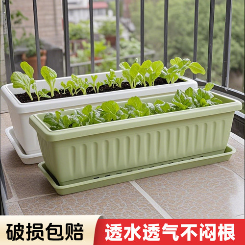 生长魔励塑料花盆加大号室内种菜