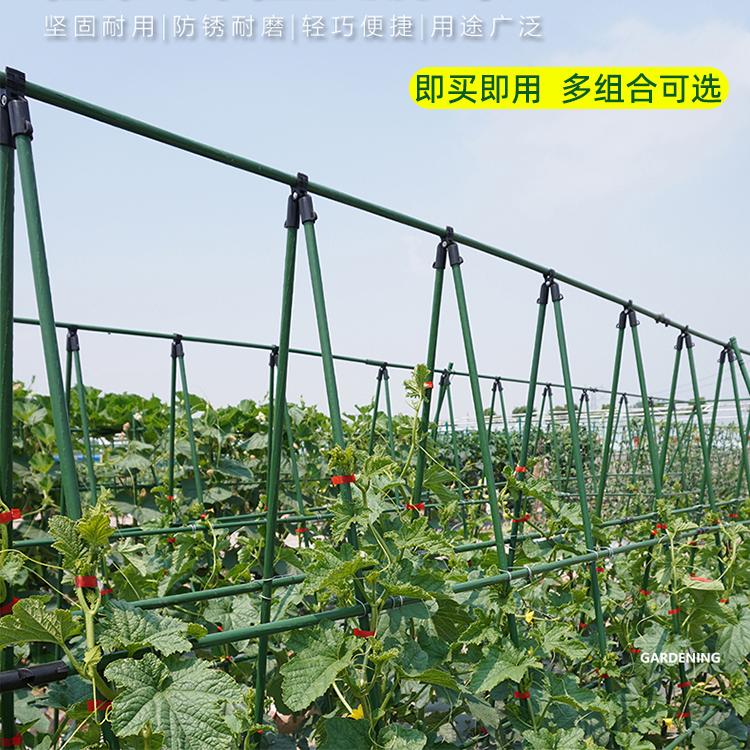 黄瓜爬藤架花架豆角葡萄丝瓜番茄支架植物月季种菜架子园艺支撑杆