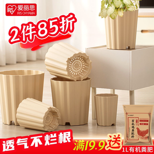 爱丽思玻线长钵花盆月季多肉