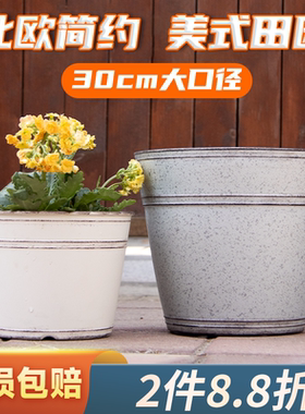 阳台室内花卉植物盆栽套盆