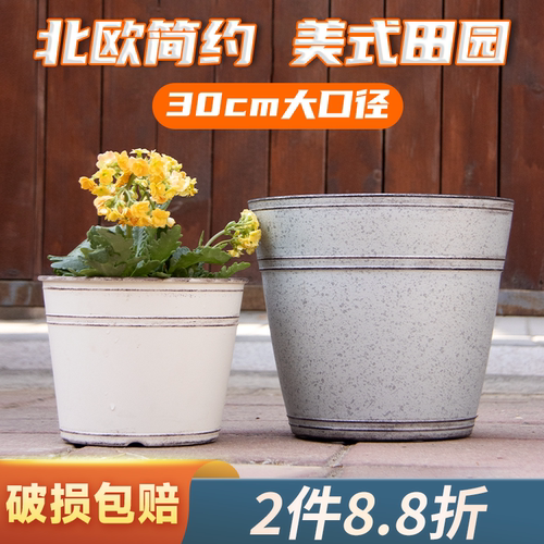 阳台室内花卉植物盆栽套盆