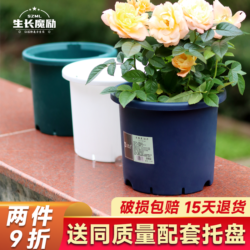 deepot深型高筒花盆月季铁线塑料