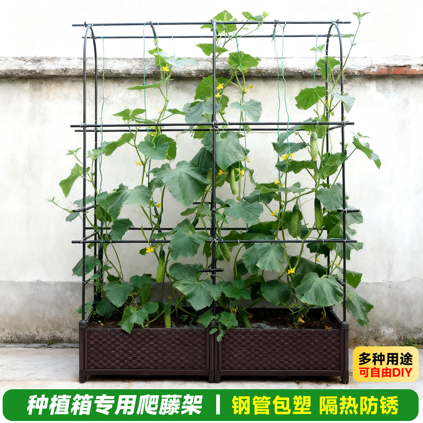 种植箱爬藤架架花卉黄瓜花架蔬菜水果园艺藤架田园攀爬豆角番茄架,鲜花速递/花卉仿真/绿植园艺,花盆,淘宝优惠券,粉丝福利购,淘宝优惠卷