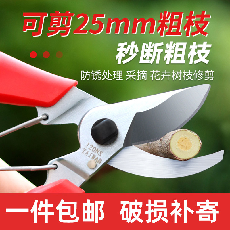 家用花卉盆栽多肉植物园艺修枝剪图片