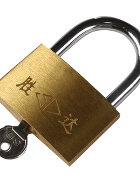 胜达工具铜挂锁20/25/30/40/50/60mm抽屉门锁家具车小锁芯防盗锁