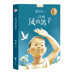 一只叫凤的鸽子ALEVEL老师推荐中文读物-9787533968502