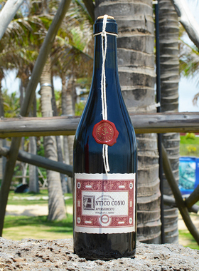 意大利酒王DOCG阿玛罗尼Amarone 风干浓缩干红葡萄酒科斯塔安蒂科