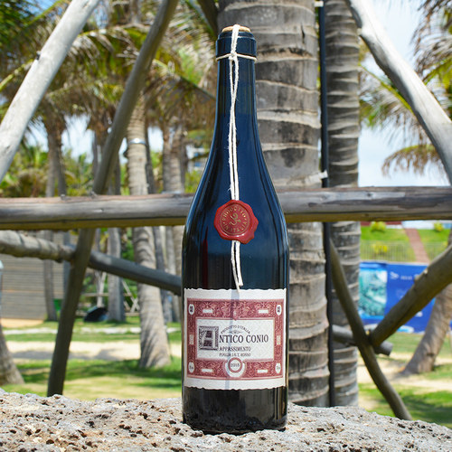 LM99意大利枯藤法阿玛罗尼红酒