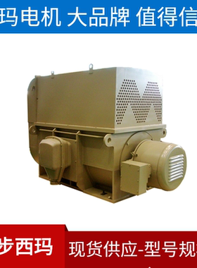 西玛YRKS绕线高压电机YRKS5601-6 1000KW 6KV IP54含空水冷却器