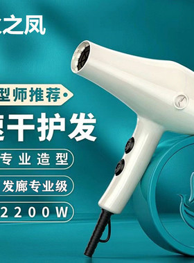 火之凤吹风机8800S理发店专业发廊家用大功率负离子发型师吹风筒