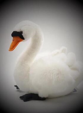 仿真可爱黑白天鹅公仔 天鹅毛绒玩具 好品质动物毛绒玩具