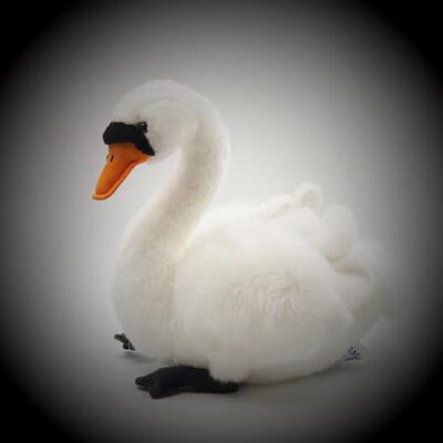 可爱黑白天鹅毛绒玩具好品质动物