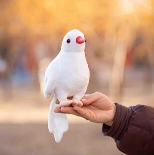 可爱文鸟玩具文鸟鹦鹉毛绒玩具白文鸟毛绒玩具解压玩偶女孩礼物萌
