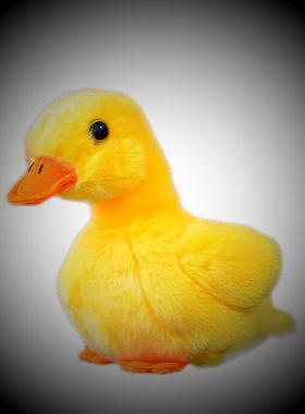 高品质  12CM小黄鸭公仔 仿真黄色小鸭子毛绒玩具  礼品礼物