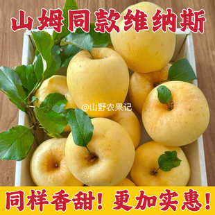 山东维纳斯苹果黄金苹果山姆雀斑苹果有斑苹果新鲜水果当季 整箱