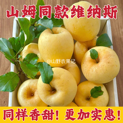 正宗黄金维纳斯酥脆香甜纯甜包邮