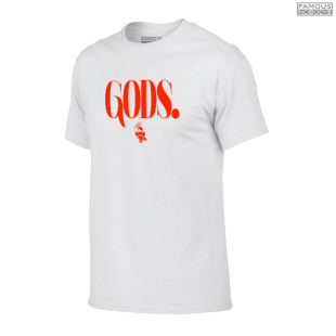 瓜哥训练亲上身 FN潮牌 篮球透气宽松纯棉T恤 GODS夏季 安东尼短袖
