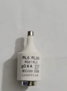 浙江燎原RO21（RL6-25）2-25A  R021（一盒20只）