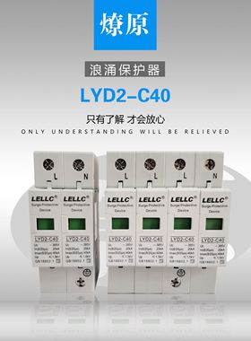 LYD2-C40/LYD2-D20/LYD2-B60/LYD2-B80/LYD2-B100浪涌保护器燎原
