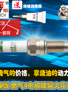 火炬天然气4极火花塞适用大众新捷达新桑塔纳朗逸改气N5887单只