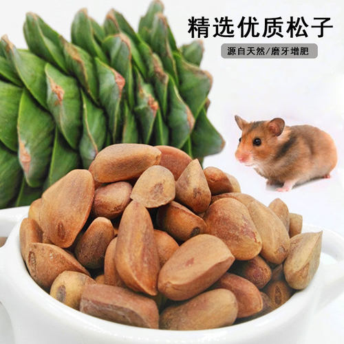 松鼠粮食主粮松子生坚果榛子仓鼠