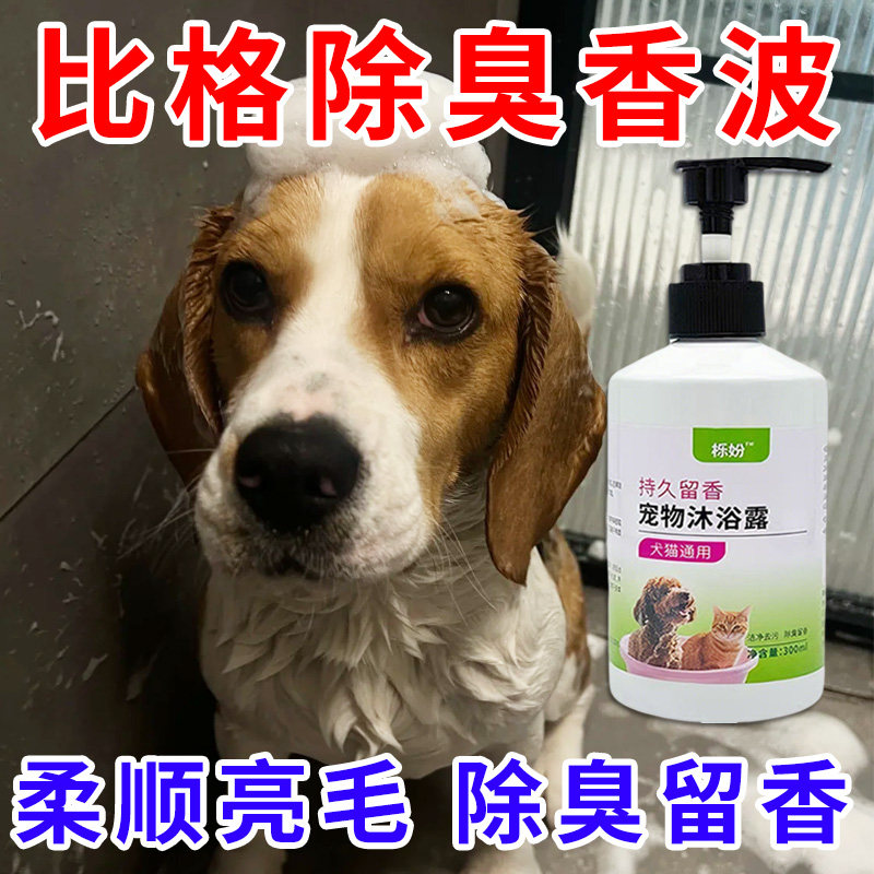 比格犬专用沐浴露亮白去黄狗狗白毛犬沐浴液宠物狗清洁用品香波