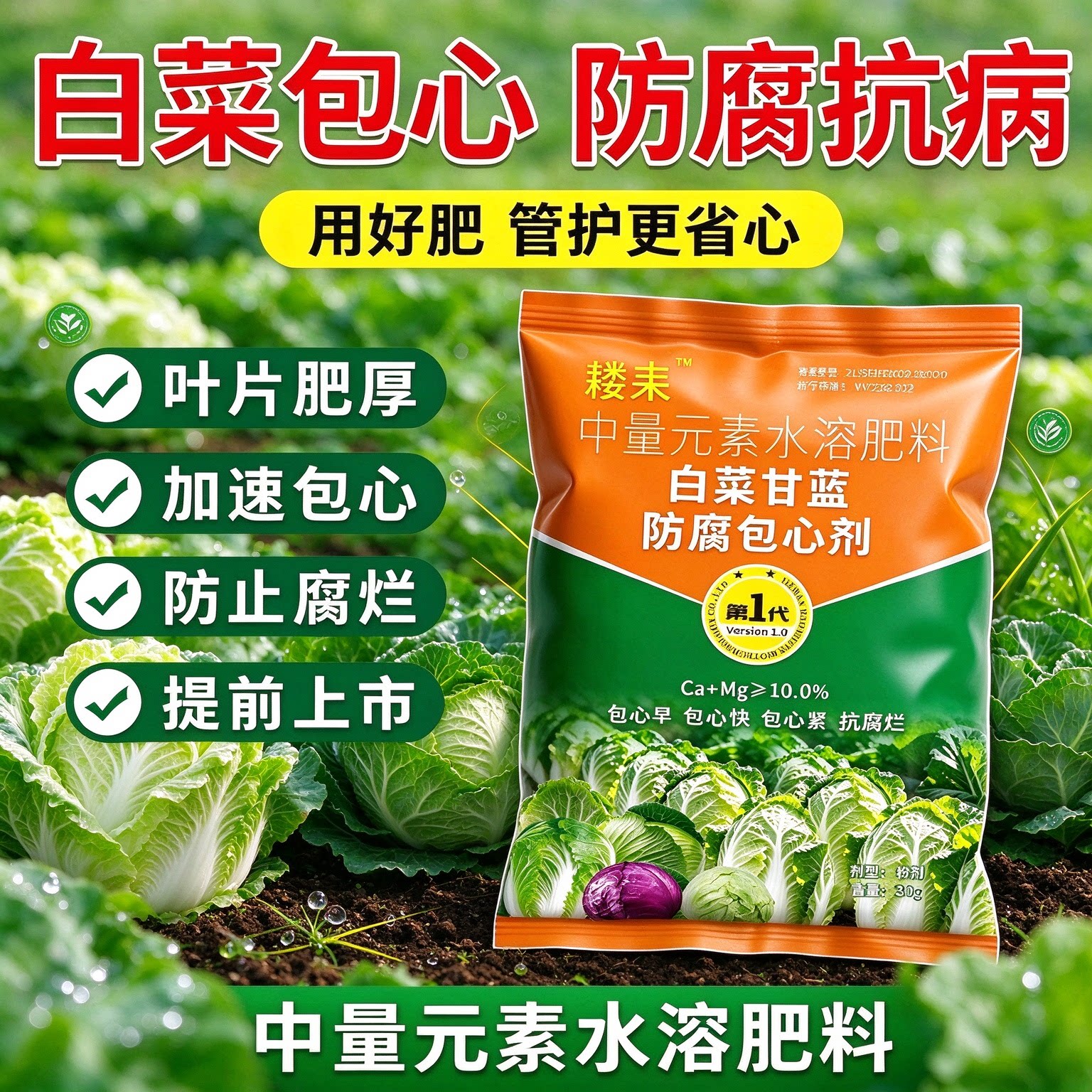 包菜专用肥卷心菜包心剂包菜包心剂猛长素甘蓝白菜增产增收膨大肥