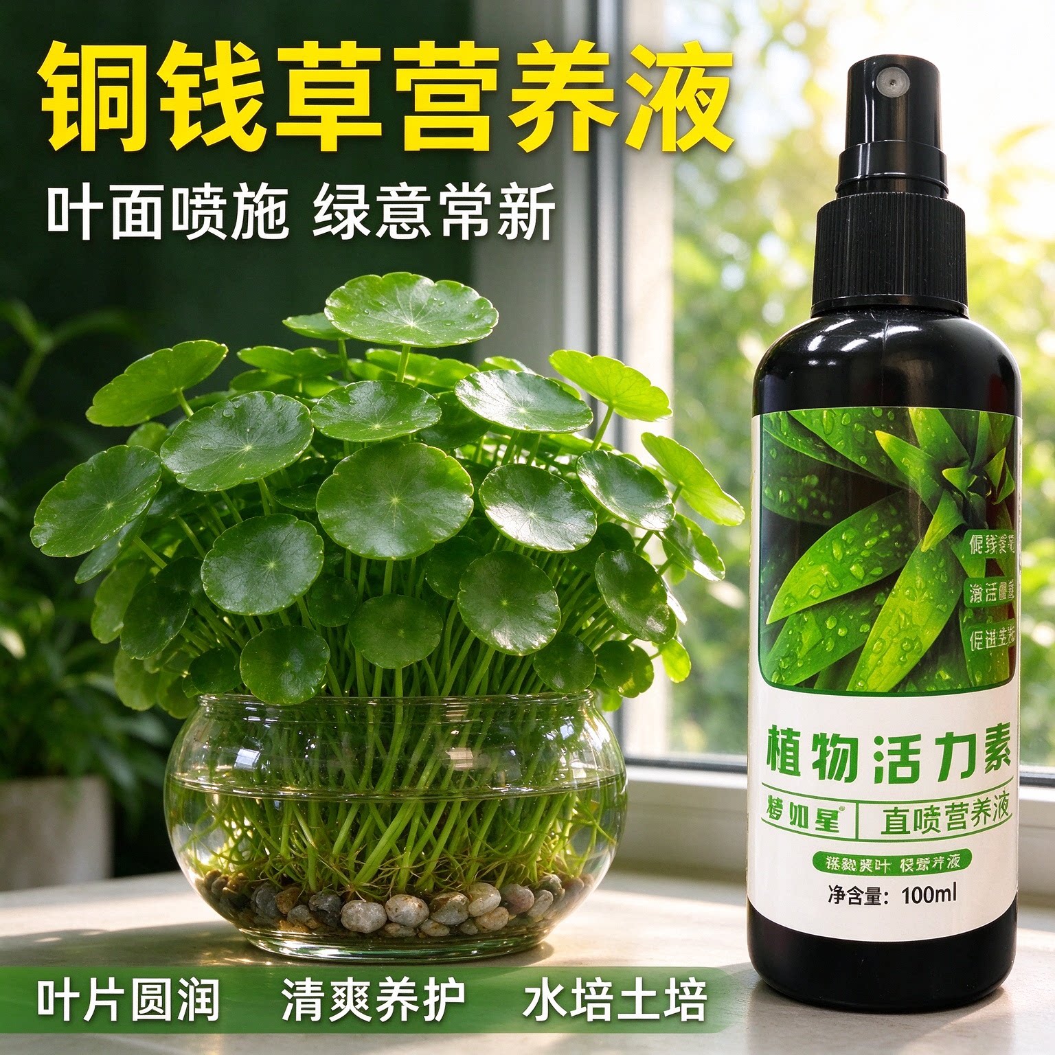铜钱草营养液家用水培植物促进生长生根强根壮叶盆栽水培液体喷雾