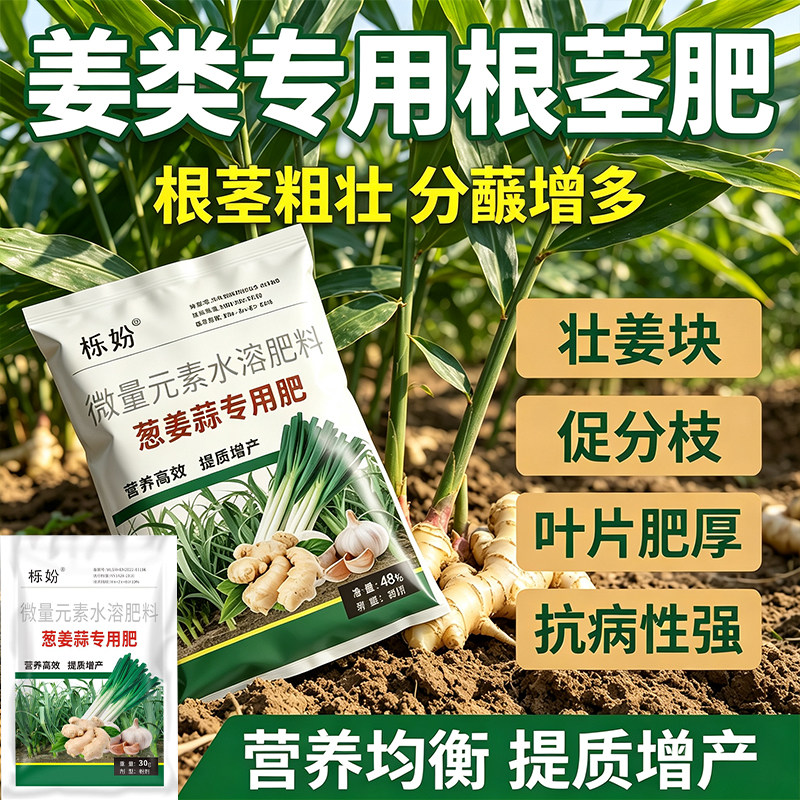 生姜专用微量元素水溶肥防干尖黄叶促分蘖壮苗叶面肥