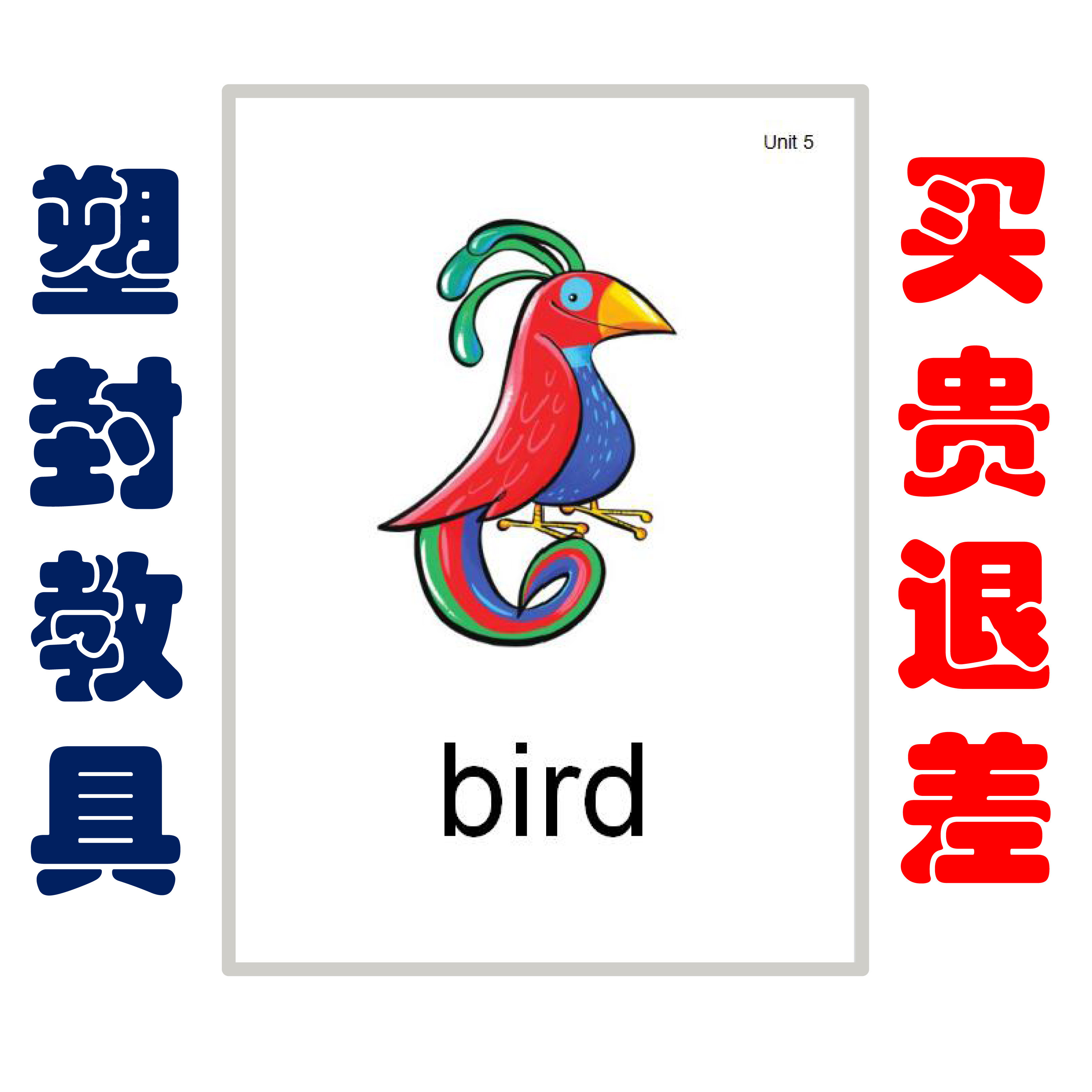 国际少儿英语单词大卡片教具启蒙