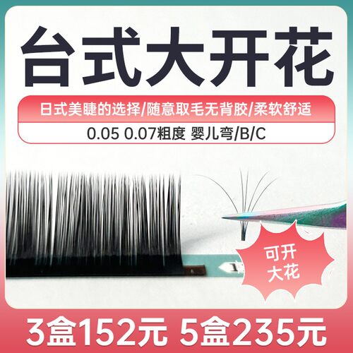 日本山茶花种植假眼睫毛自然浓密