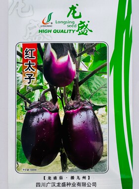 龙盛红太子紫红茄种子早熟卵圆形紫红皮白肉茄子种籽农家春秋季播