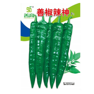 善椒辣神软皮青椒种子杂交早熟香辣羊角椒种籽农家春秋季播蔬菜种
