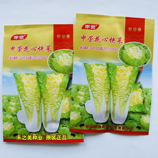 申荣早熟食用速生奶油快菜四季易播抗病耐热耐涝小白菜蔬菜种子孑